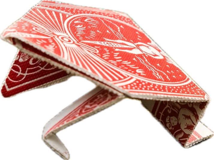 Folding-Frog Image 3